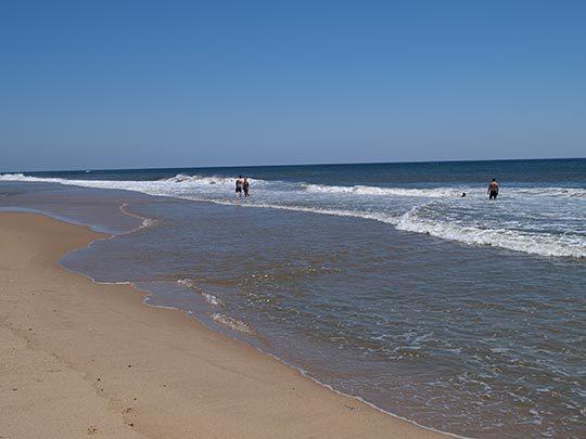 Wavecrest 3*